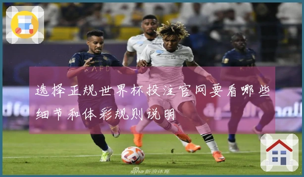 选择正规世界杯投注官网要看哪些细节和体彩规则说明
