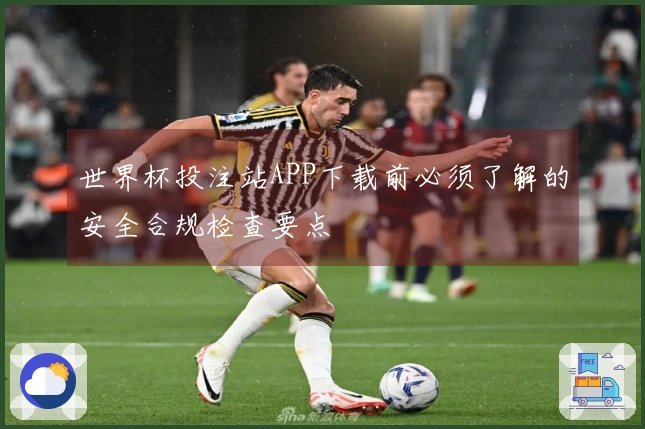 世界杯投注站APP下载前必须了解的安全合规检查要点