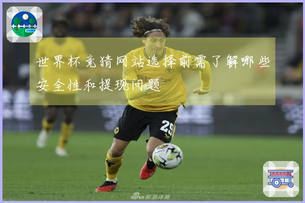世界杯竞猜网站选择前需了解哪些安全性和提现问题