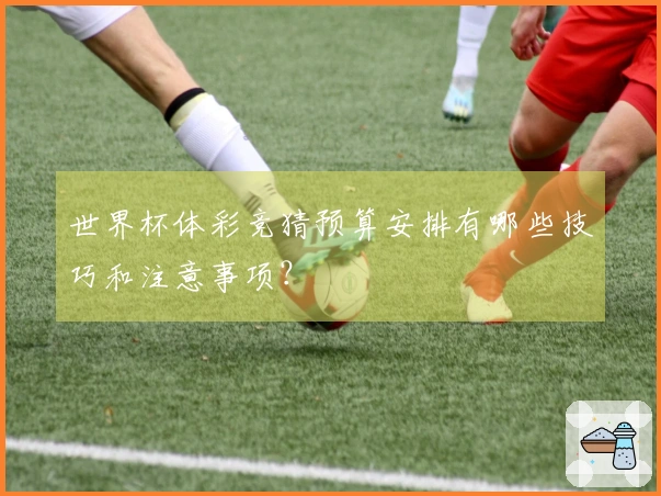 世界杯体彩竞猜预算安排有哪些技巧和注意事项？