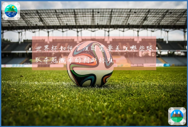 世界杯如何下注时需要关注哪些球队夺冠概率的判断标准