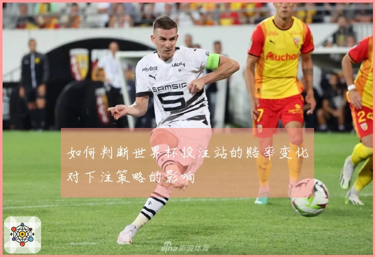如何判断世界杯投注站的赔率变化对下注策略的影响