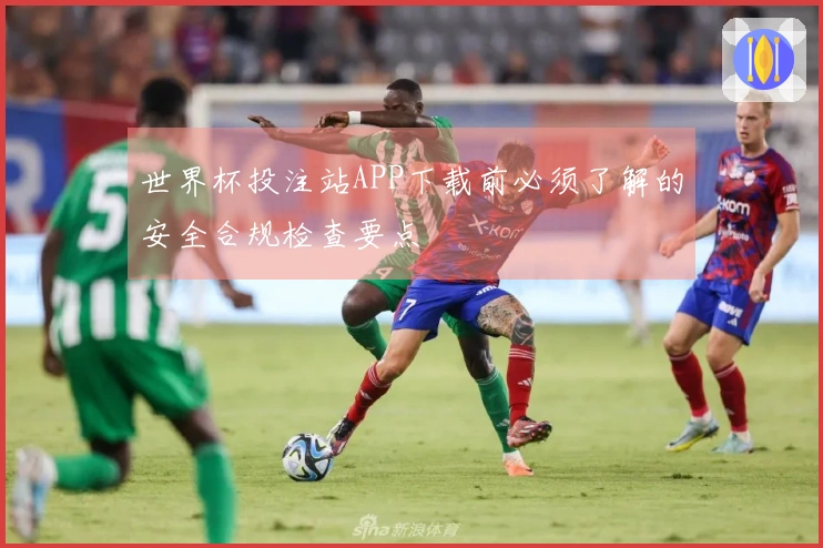 世界杯投注站APP下载前必须了解的安全合规检查要点