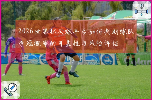 2026世界杯买球平台如何判断球队夺冠概率的可靠性与风险评估